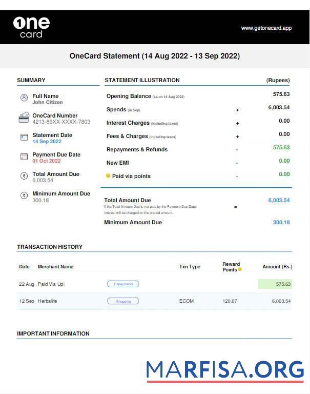 Printable USA 1ONE card statement word example